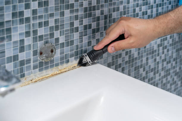 Best Black Mold Removal  in Minor, AL