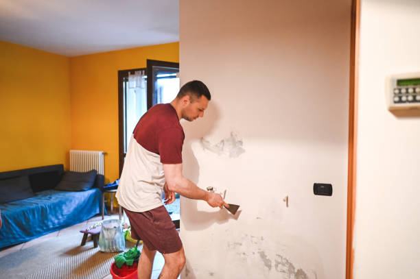 Best Mold Cleaning Services  in Minor, AL